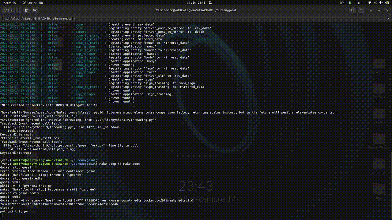 Animated sign language module for Second Self